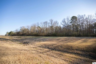 Hunting Land for sale in Jefferson County, MS. This 428.5+/- - photo 9