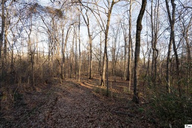 Hunting Land for sale in Jefferson County, MS. This 428.5+/- - photo 10