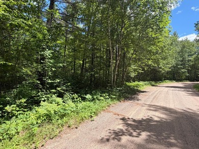 34 Acre lot in Rockwood Estates - Level building site with a - photo 1
