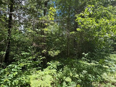 34 Acre lot in Rockwood Estates - Level building site with a - photo 2