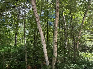 34 Acre lot in Rockwood Estates - Level building site with a - photo 3