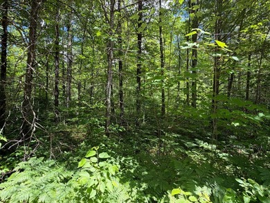34 Acre lot in Rockwood Estates - Level building site with a - photo 4