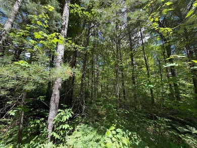 34 Acre lot in Rockwood Estates - Level building site with a - photo 5
