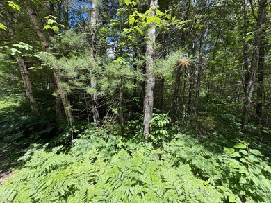 34 Acre lot in Rockwood Estates - Level building site with a - photo 6