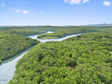 Unrestricted acreage bordering Melton Hill Lake in Hardin Valley - photo 11