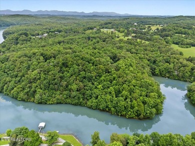 Unrestricted acreage bordering Melton Hill Lake in Hardin Valley - photo 12