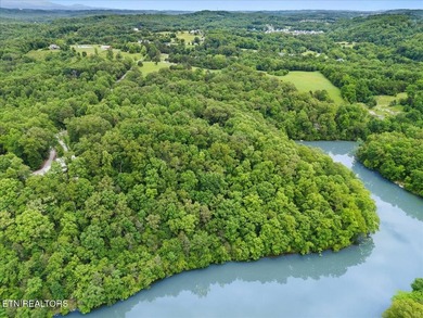 Unrestricted acreage bordering Melton Hill Lake in Hardin Valley - photo 13