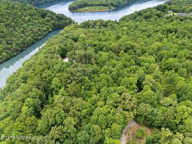 Unrestricted acreage bordering Melton Hill Lake in Hardin Valley - photo 15