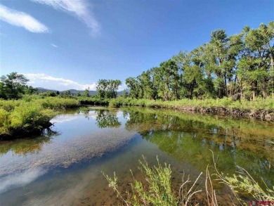 Lake Lot For Sale in South Fork, Colorado