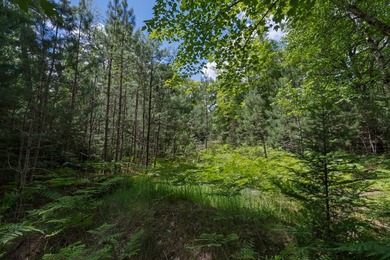 We keep getting told there are no lots available with Eagle - photo 6