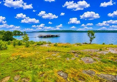 Rare luxury lakefront estate in a gated community with some of - photo 46