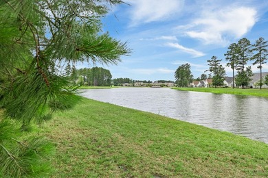 This is the only lakefront homesite in the neighborhood with a - photo 7