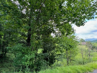 Discover the perfect blend of natural serenity and convenient - photo 5