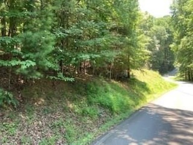 Lake Lot For Sale in Ellijay, Georgia