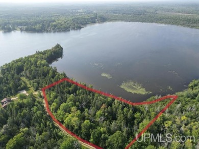 Lake Acreage For Sale in Gould City, Michigan