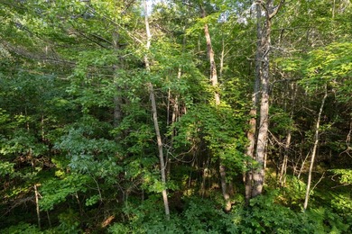 Lots 4, 5, and 6, Dads Lake Rd - Three lot's totaling 4.98 Acres - photo 3