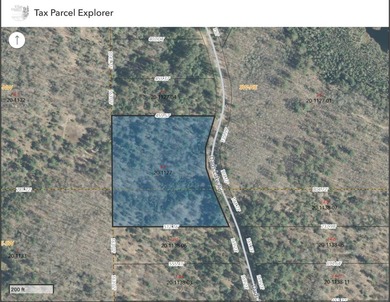 Lots 4, 5, and 6, Dads Lake Rd - Three lot's totaling 4.98 Acres - photo 6