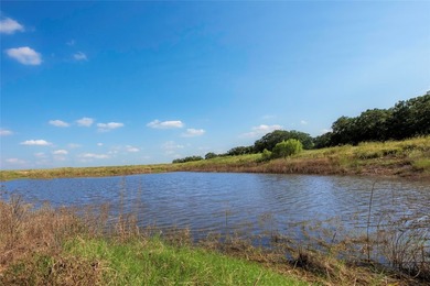 466.52 Acres in Jonesboro, Texas..Coryell County . nestled - photo 28