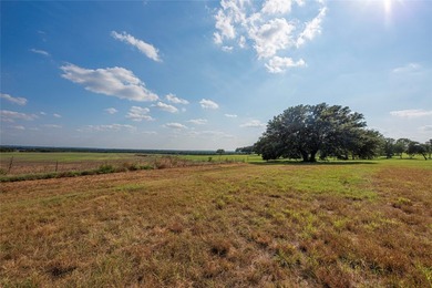 466.52 Acres in Jonesboro, Texas..Coryell County . nestled - photo 29