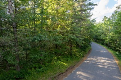 Lot 2, Dads Lake Rd - This 1.73 acre parcel has some contour off - photo 1