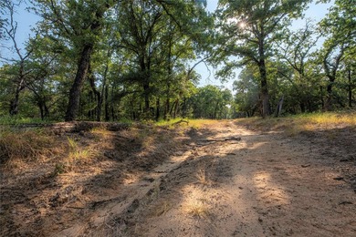 466.52 Acres in Jonesboro, Texas..Coryell County . nestled - photo 31
