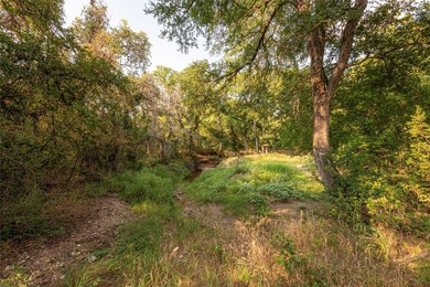 466.52 Acres in Jonesboro, Texas..Coryell County . nestled - photo 33