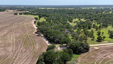 466.52 Acres in Jonesboro, Texas..Coryell County . nestled - photo 36