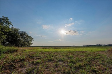 466.52 Acres in Jonesboro, Texas..Coryell County . nestled - photo 38