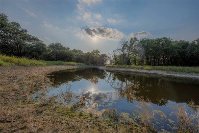 466.52 Acres in Jonesboro, Texas..Coryell County . nestled - photo 39