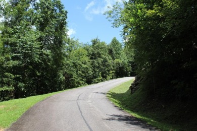 Lake Acreage For Sale in Hayesville, North Carolina