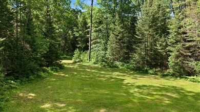 Discover the perfect Northwoods retreat on this beautifully - photo 4