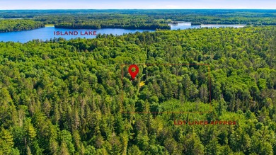 Discover the perfect Northwoods retreat on this beautifully - photo 8