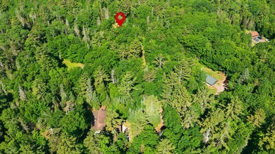 Discover the perfect Northwoods retreat on this beautifully - photo 9
