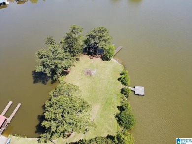 Lake Lot For Sale in Riverside, Alabama