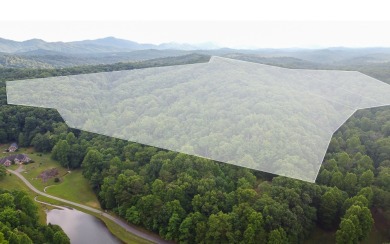 Lake Hiwassee Lot For Sale in Murphy North Carolina