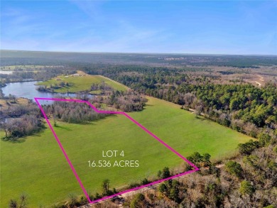 Lake Acreage For Sale in Winnsboro, Texas