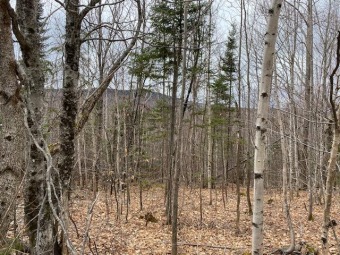 RANGELEY OVERLOOK - POTENTIAL LAKE & MT VIEWS from this 1 acre - Lake Lot For Sale in Sandy River Plt, Maine