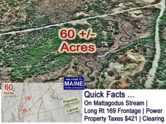  Acreage For Sale in Prentiss Twp T7 R3 Nbpp Maine