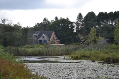 (private lake, pond, creek) Home For Sale in Lebanon Connecticut