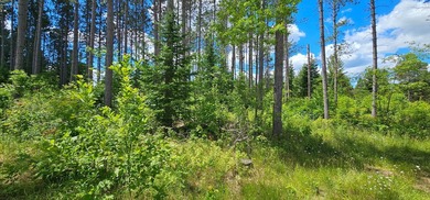 Mars Lake Lot For Sale in Monico Wisconsin