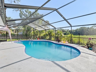 Welcome to this beautiful Southeast Palm Bay pool home! This - photo 25