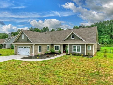 Lake Nottely Home Active Under Contract in Blairsville Georgia