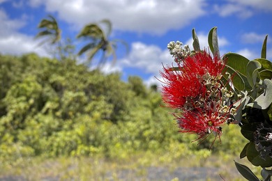 Off-grid but not far from the beaten path, experience the - photo 4