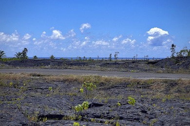 Off-grid but not far from the beaten path, experience the - photo 5