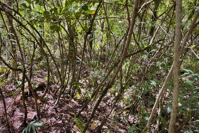 Off-grid but not far from the beaten path, experience the - photo 6