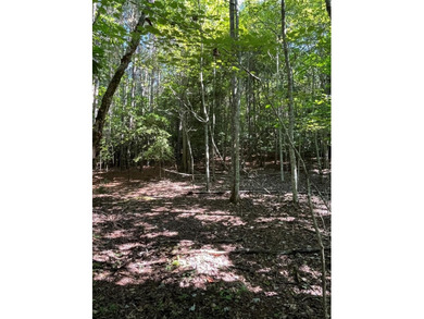 (private lake, pond, coastal) Lot For Sale in Young Harris Georgia
