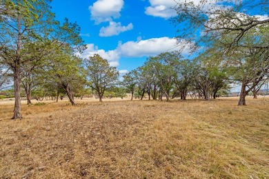 Wonderful home site with many nice trees and over two acres - photo 4