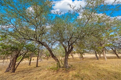 Wonderful home site with many nice trees and over two acres - photo 5