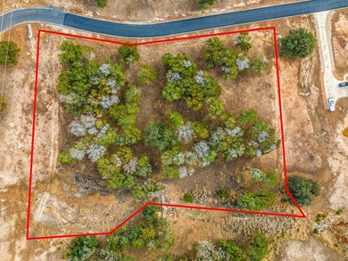 Wonderful home site with many nice trees and over two acres - photo 7