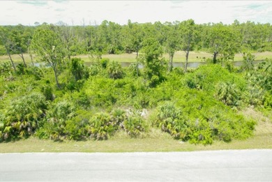Northport Waterway Lakes and Canals Lot For Sale in North Port Florida